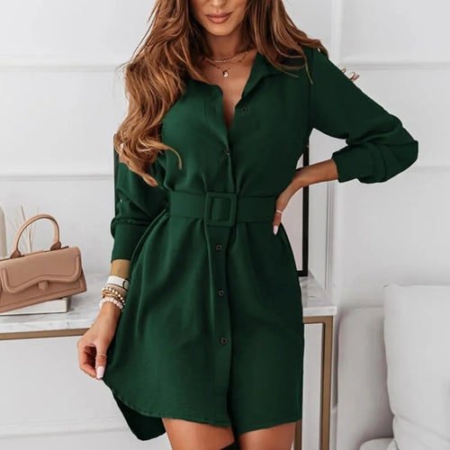 Designer Shirt Dress