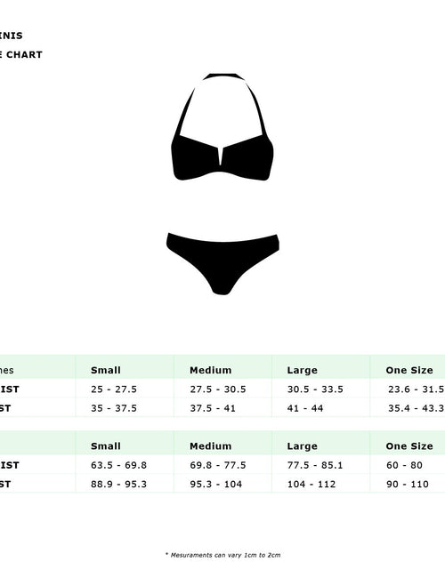 Load image into Gallery viewer, Arcadia Oahu Tie Side Cheeky Bikini Set
