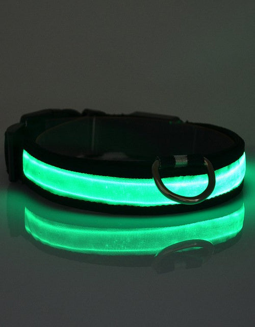 Load image into Gallery viewer, Imported Light Up Dog Collar
