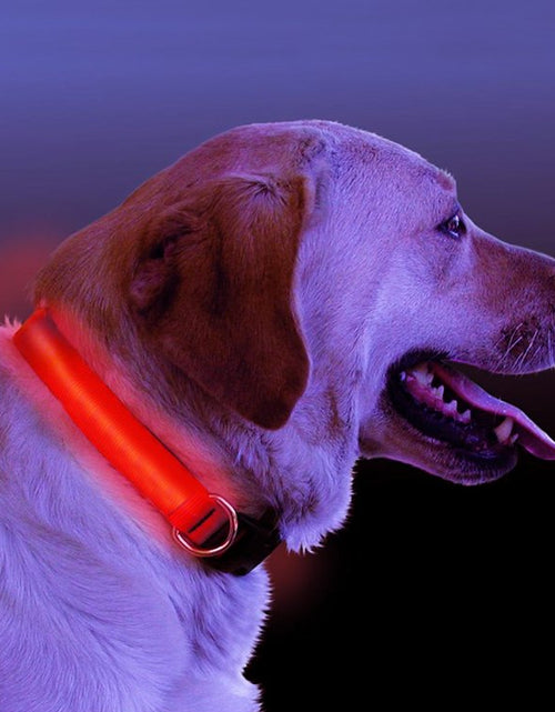 Load image into Gallery viewer, Imported Light Up Dog Collar
