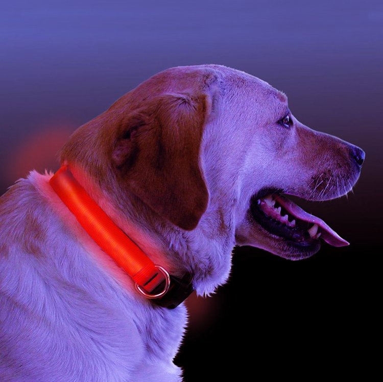 Imported Light Up Dog Collar