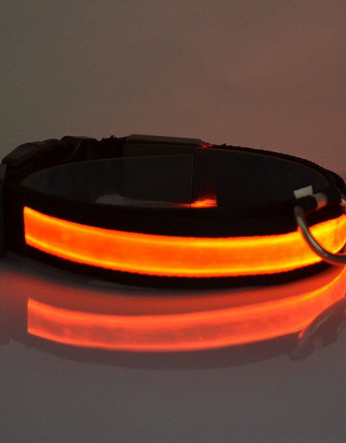 Load image into Gallery viewer, Imported Light Up Dog Collar
