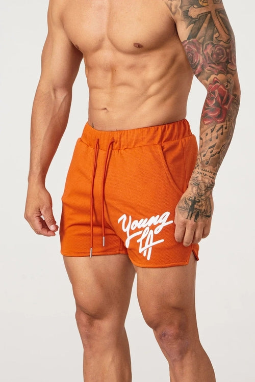 Arcadia LA Trendy Beach Shorts