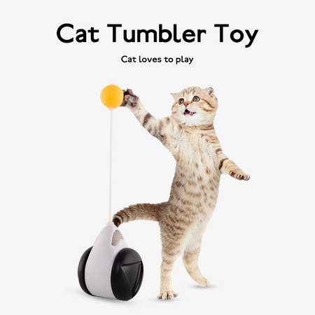 Tumbler Balanced Wheel Swinging Ball Cat Play Toy