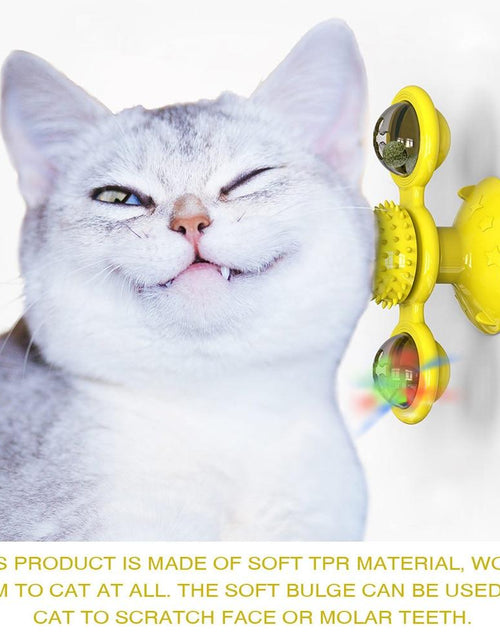 Load image into Gallery viewer, Cats Whirling LED Balls
