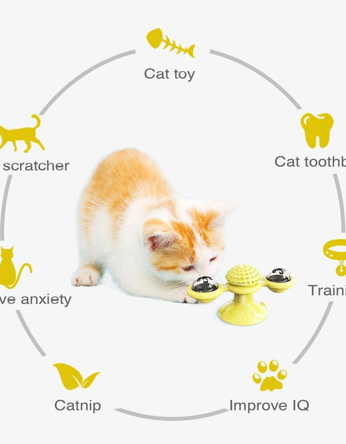 Load image into Gallery viewer, Cats Whirling LED Balls
