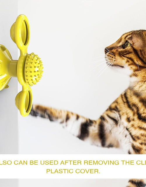 Load image into Gallery viewer, Cats Whirling LED Balls
