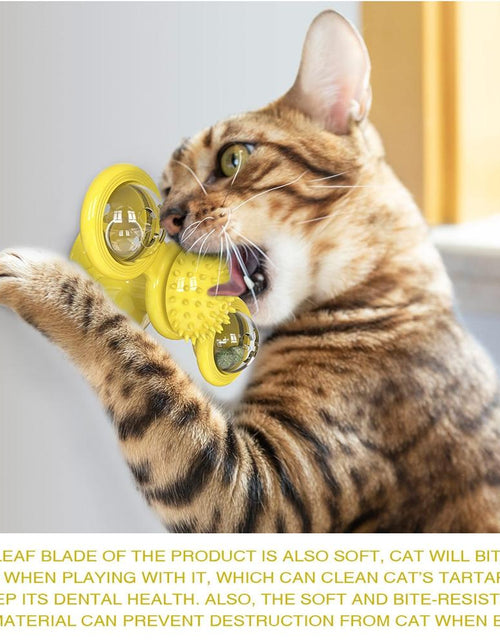 Load image into Gallery viewer, Cats Whirling LED Balls
