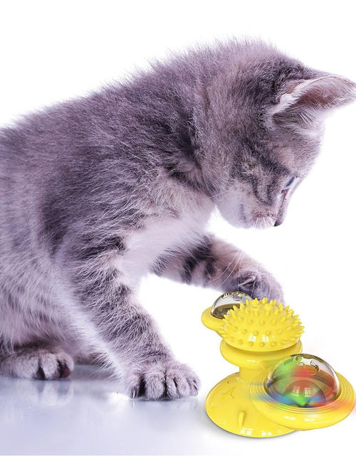 Load image into Gallery viewer, Cats Whirling LED Balls
